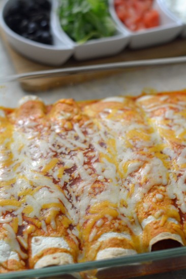 Chicken Enchiladas Recipe