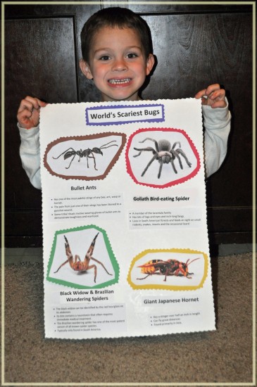 Orkin - World's Most Scariest Bugs #EEKologist