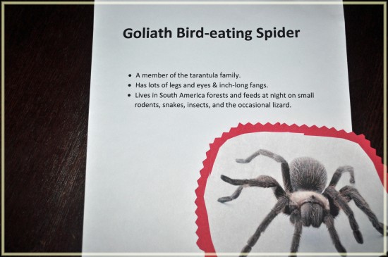 World's Most Scariest Bugs #EEKologist
