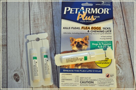 flea & tick prevention dogs