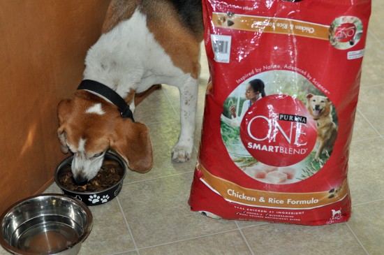 purina one smartblend chicken & rice