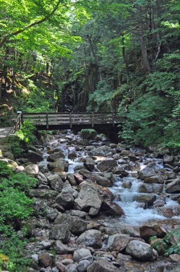 flume gorge nh