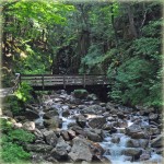 Flume Gorge Franconia Notch