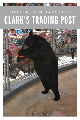 clarks trading post hours