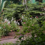 Butterfly Place