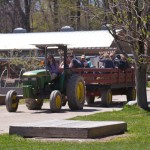 Drumlin Farm Tractor Ride