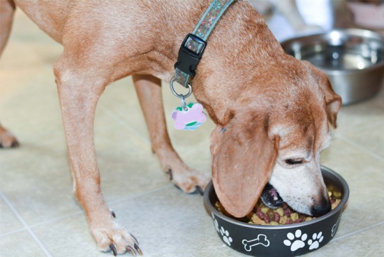 Alpo Meal Helpers