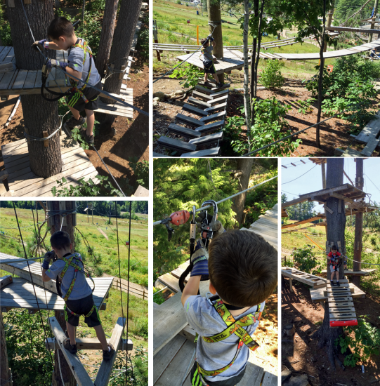 cranmore mountain kids ropes course