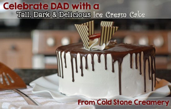 Tall Dark & Delicioius Ice Cream Cake Cold Stone Creamery