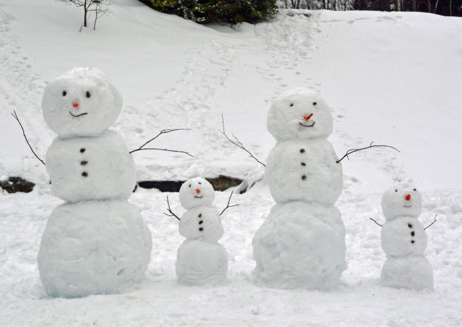 Snow Day Activity at Home