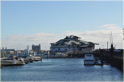 The Boston Yacht Haven Inn & Marina view