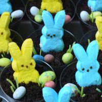 PEEPS Easter Dirt Cups