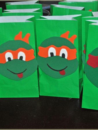 ninja turtle goodie bags