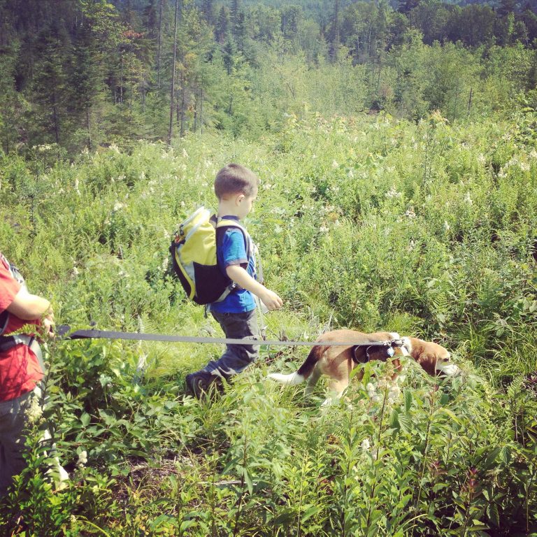 A Healthy Pet Is A Happy Pet – Take The Paws for Life Pledge