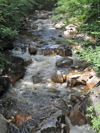 Kids will love the Flume Gorge Nature Walk in Franconia Notch, NH