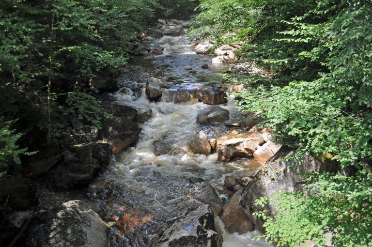 Kids will love the Flume Gorge Nature Walk in Franconia Notch, NH