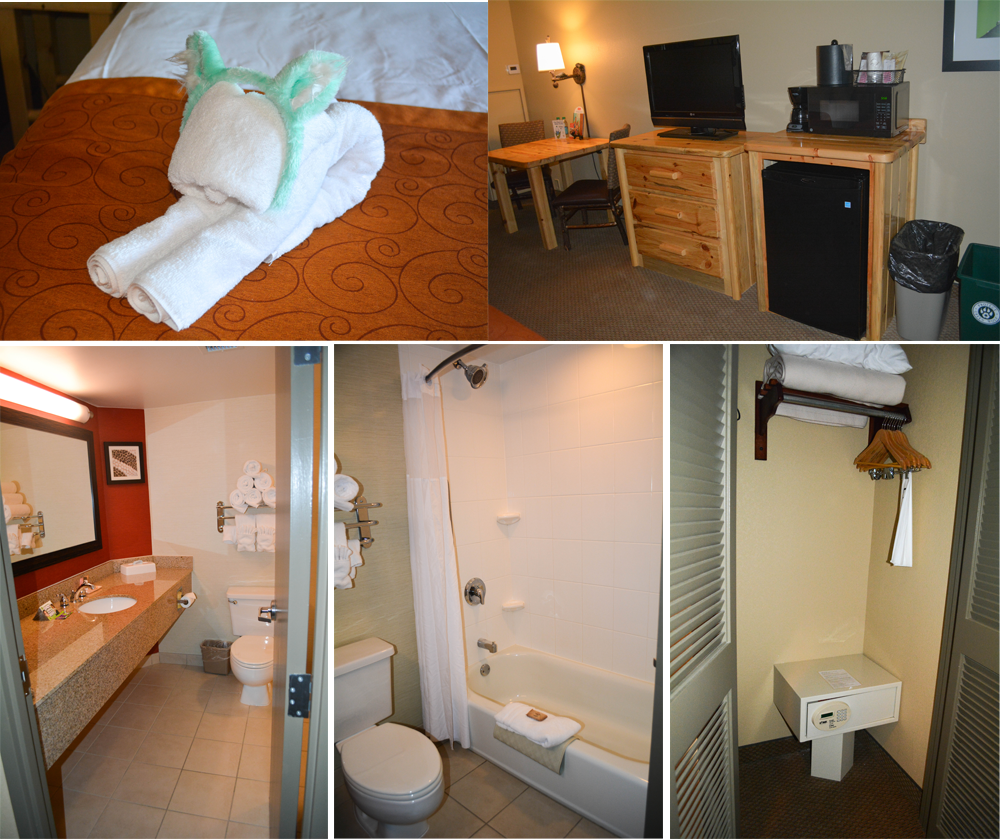 Great Wolf Lodge - Everything You Need to Know - Mommy's Fabulous Finds