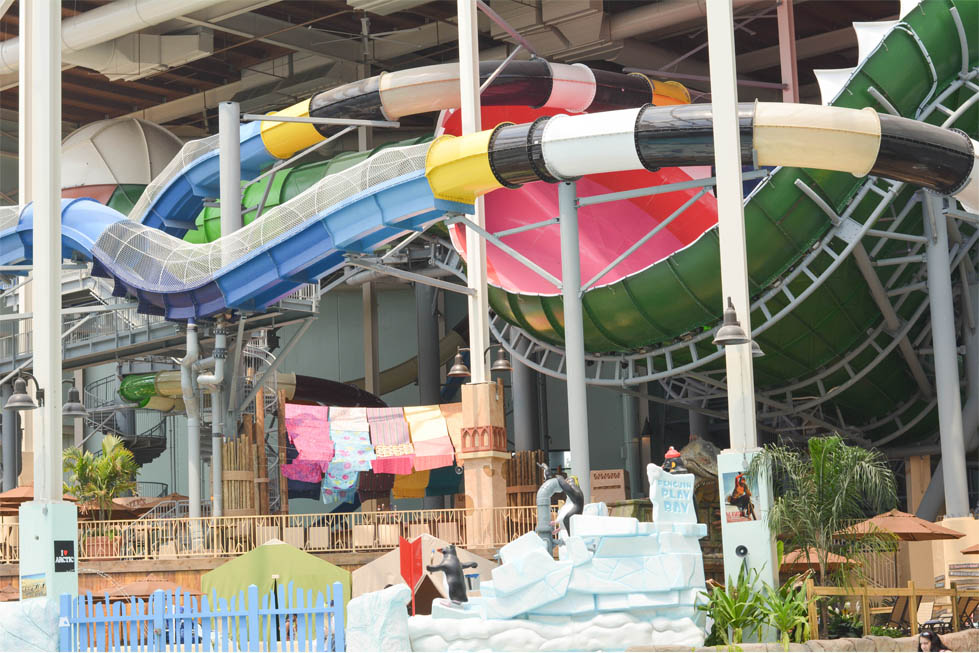 view of camelback water park