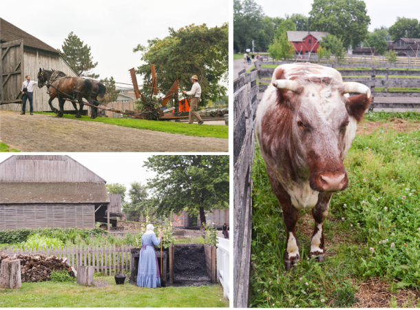 greenfield village farm 