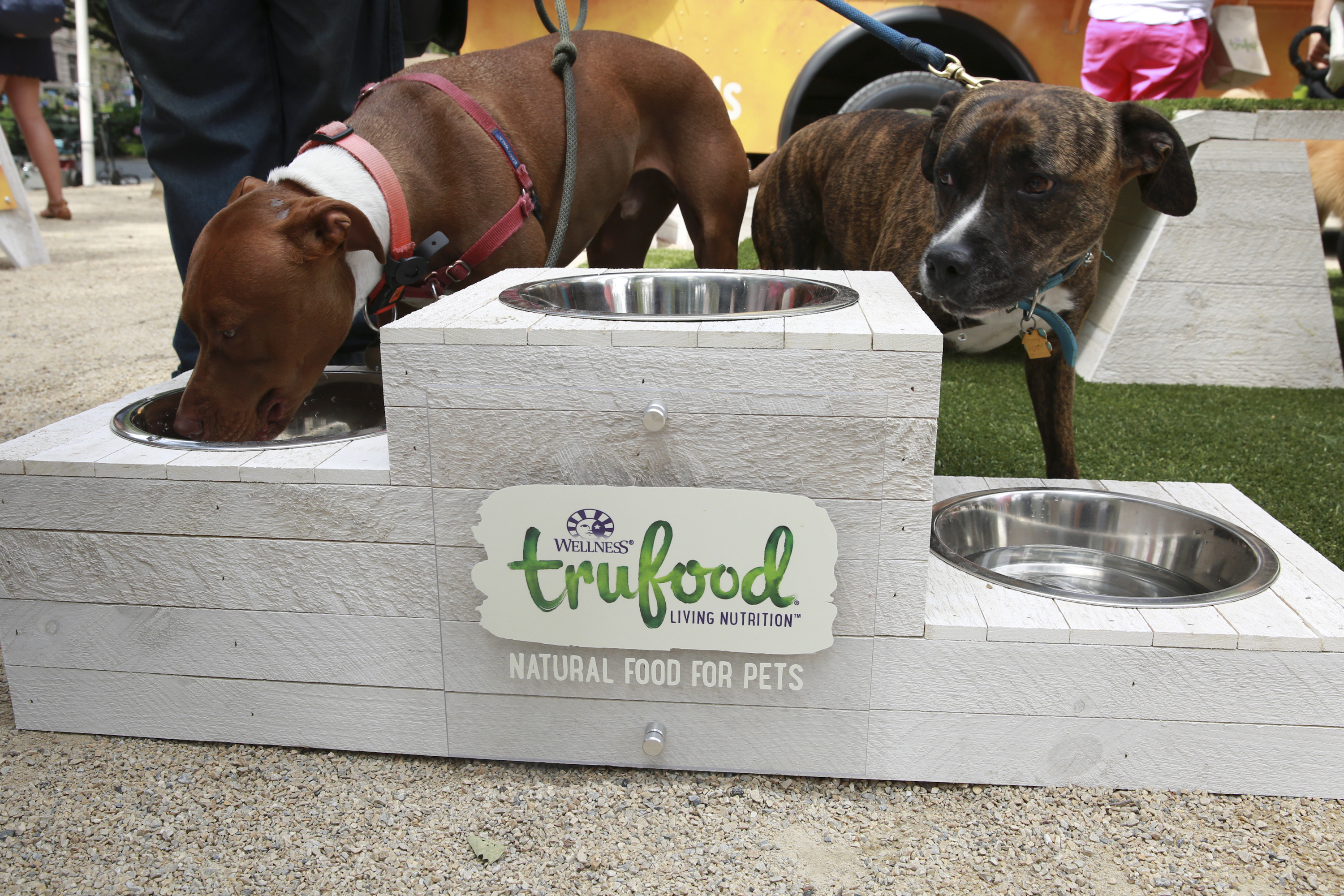 Wellness TruFood Wagon Tour 