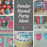 Gender Reveal Party