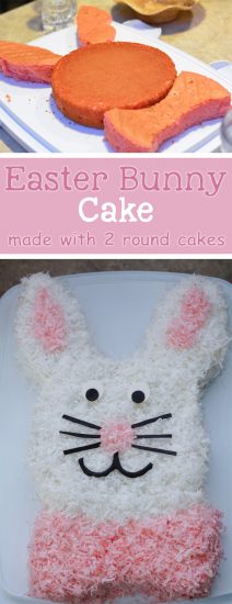 bunny cake 2 round pans