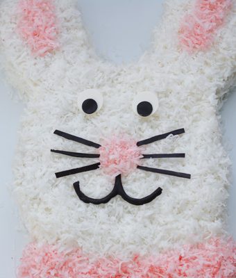 easy easter bunny cake