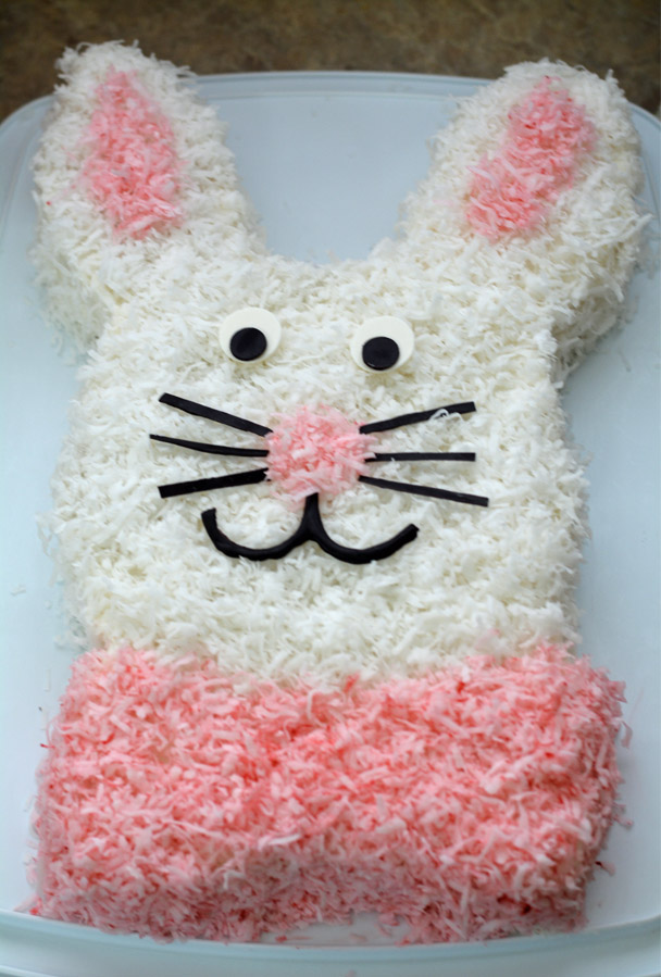 bunny cake 2 round pans