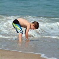 Favorite Things to Do in Cape Cod with Kids