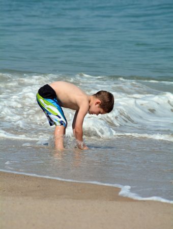 Favorite Things to Do in Cape Cod with Kids