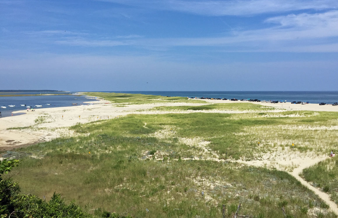 Favorite Things to Do in Cape Cod with Kids