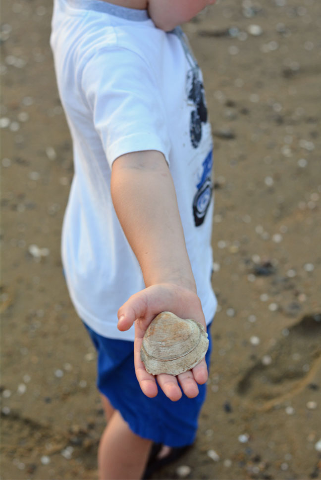 Favorite Things to Do in Cape Cod with Kids