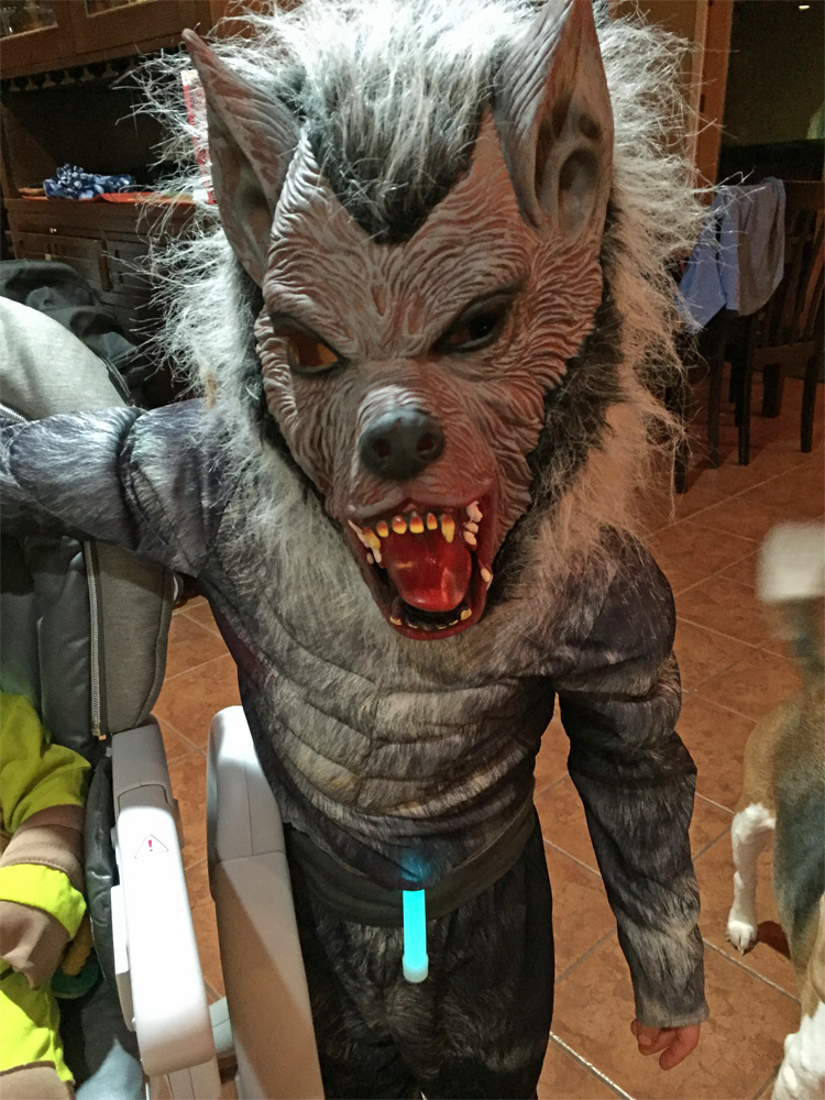 kids werewolf costume