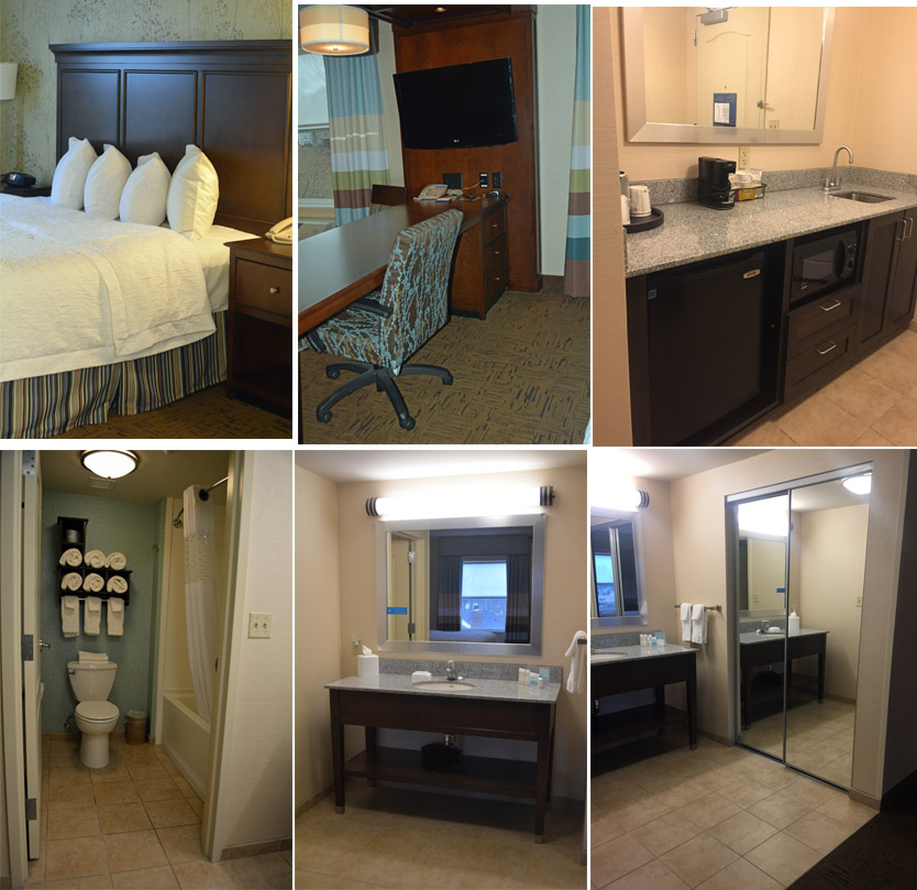 Hampton Inn & Suites King Suite