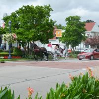 Frankenmuth horse drawn carriage ride