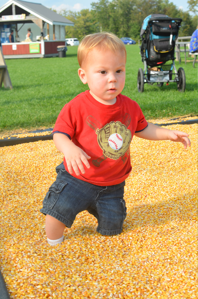 Corn Boxes at Sherman Farm