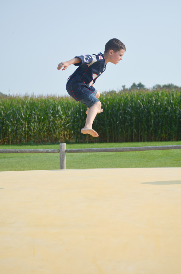 Sherman Farm Jumping Pillow 