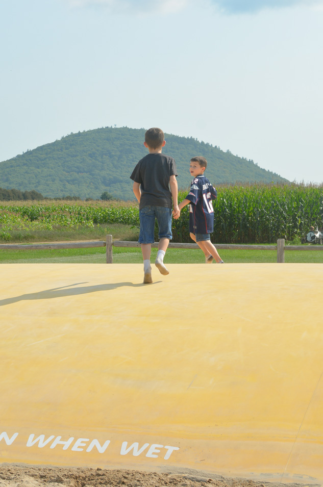 Sherman Farm Jumping Pillow 