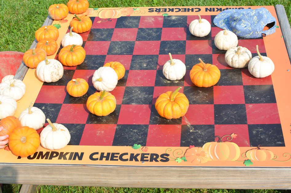 Sherman Farm Pumpkin Checkers