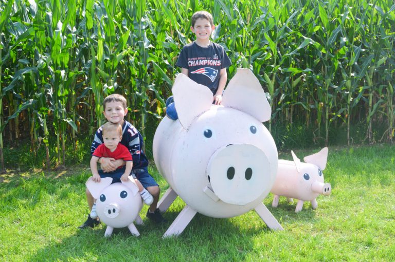 Sherman Farm Conway NH