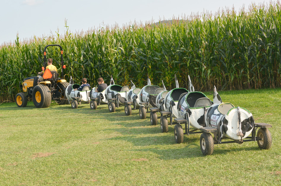 Sherman Farm tractor ride