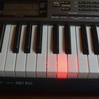 Casio LK-265 keyboard