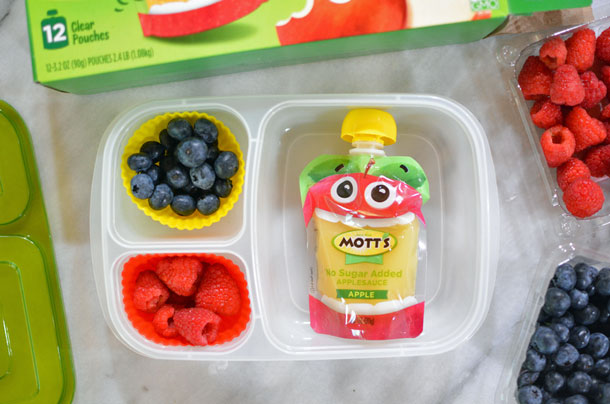 Mott's clear applesauce pouches