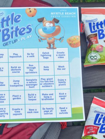 Entenmann’s Little Bites Get Up & Play Activity