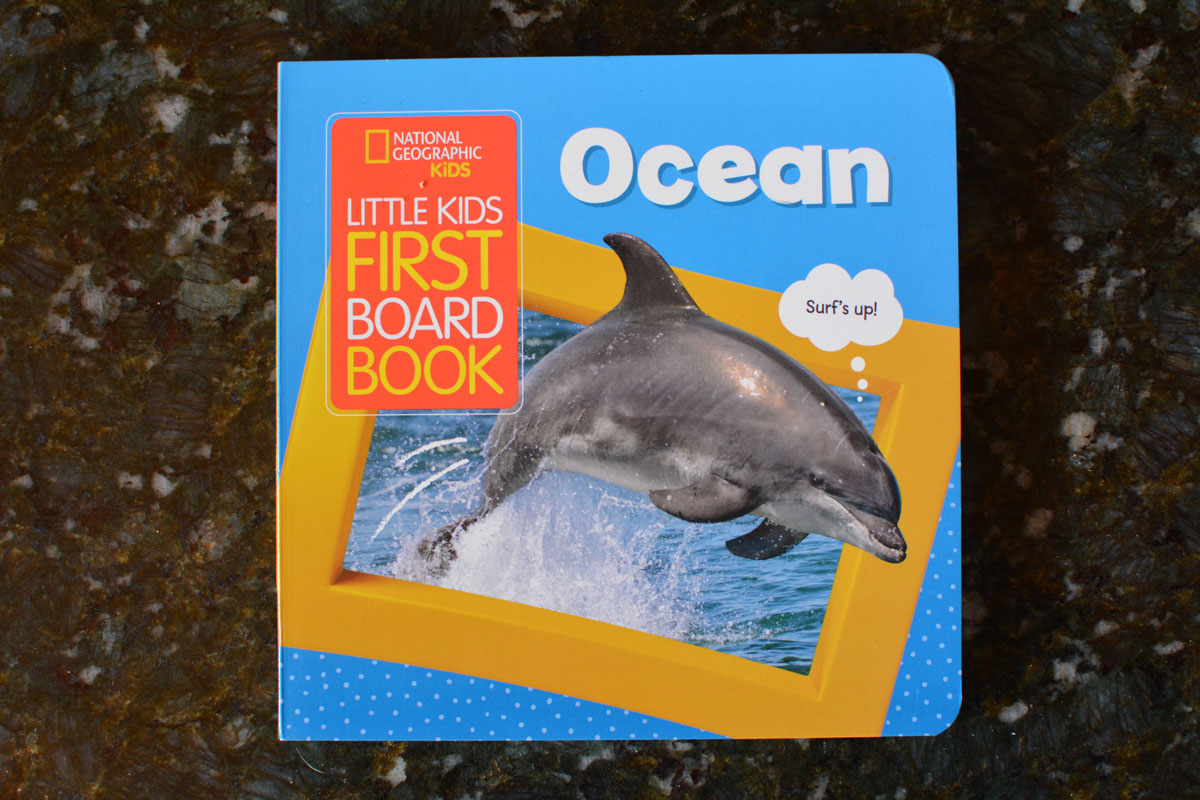Little Kids First Board Book: Ocean 