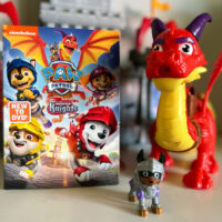 Paw Patrol Rescue Knights DVD and toys